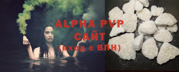 стаф Арсеньев