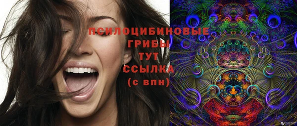 тгк Баксан